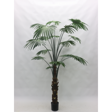 Palmier en pot 210 cm