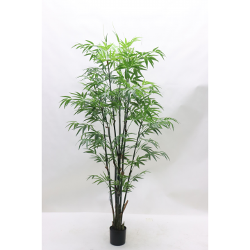 Bambou en pot  - 180 cm