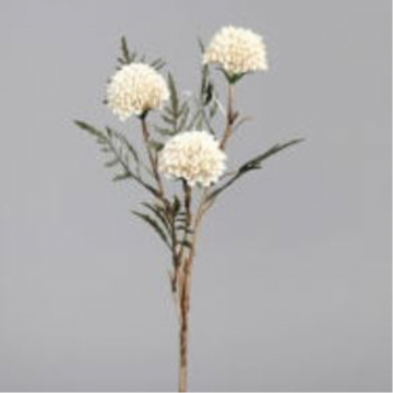 Branche de tagète blanche, 49cm