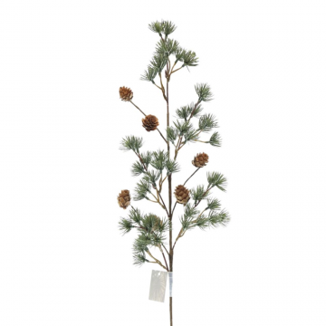 Branche de sapin avec pives, L72cm