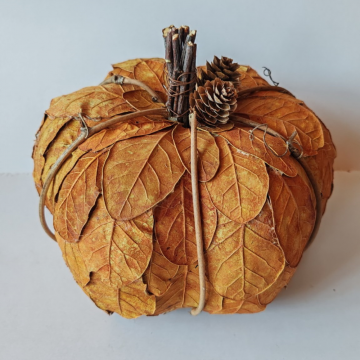 Courge décorative orange, D20cm