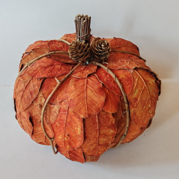 Courge décorative rouge, D20cm